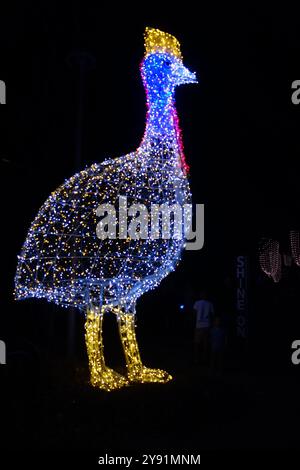 Giant cassowary statue made of fairy lights, Shine On Gimuy festival, Cairns, Queensland, Australia. No MR or PR Stock Photo