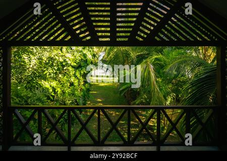 Beautiful view of an exotic tropical garden with lush foliage by the sea, seen from an elevated wooden porch, Grand Baie, Mauritius Stock Photo