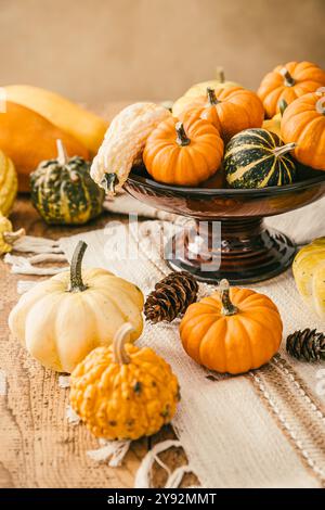Still life with assorted pumpkins on kitchen table for Thanksgiving and Halloween Stock Photo