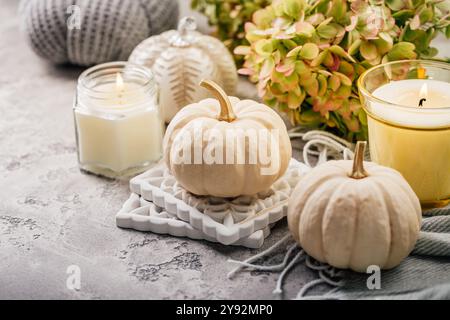 Still life with assorted pumpkins on kitchen table for Thanksgiving and Halloween Stock Photo