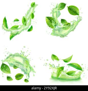 Green tea splashes. Herbal water splash with mint leaves fresh drink, herb extract liquid splatter menthol peppermint leaf refreshing aqua flow, realistic exact vector illustration original artwork Stock Vector