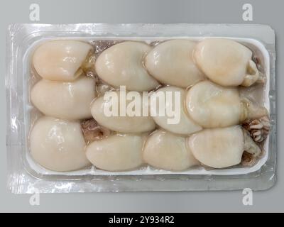 Frozen clean cuttlefish in vacuum pack isolated on gray background with clipping path included Stock Photo