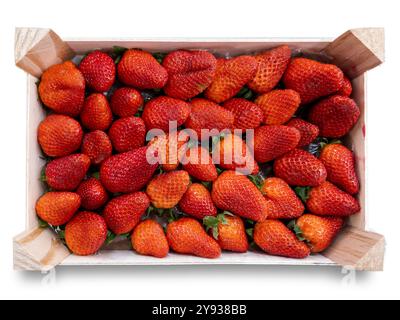 Strawberries in wooden box isolated on white with clipping path included, top view Stock Photo