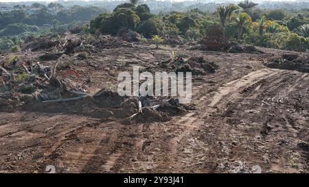 salvador, bahia, brazil - august 22, 2024: Environmental reserve deforestation area of the Atlantic Forest in the city of Salvador. Stock Photo