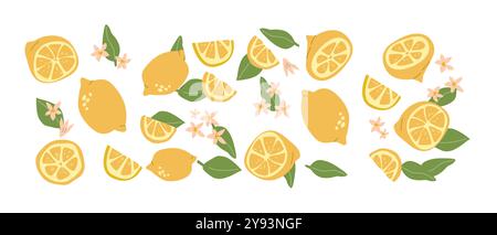 Hand drawn abstract fruit plant set. Whole fruit, slices, pieces and leaves, flowers. Can used for posters, labels, patterns. Stock Vector