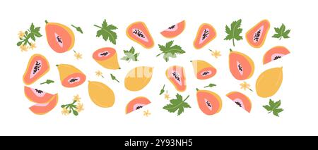 Hand drawn abstract fruit papaya plant set. Whole fruit, slices, pieces and leaves, flowers. Can used for posters, labels, patterns. Stock Vector
