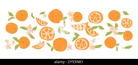 Hand drawn abstract fruit plant set. Whole fruit, slices, pieces and leaves, flowers. Can used for posters, labels, patterns. Stock Vector