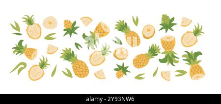 Hand drawn abstract fruit pineapple plant set. Whole fruit, slices, pieces and leaves, flowers. Can used for posters, labels, patterns. Stock Vector