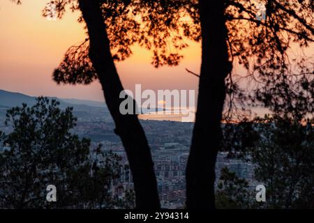 A serene view of a sunrise in Barcelona seen through the silhouette of pine trees. The city spreads out beneath the glowing sky, with the rising sun c Stock Photo