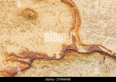 Precise macro shot capturing the intricacies of sandstone, highlighting the sedimentary lines and natural earth tones Stock Photo