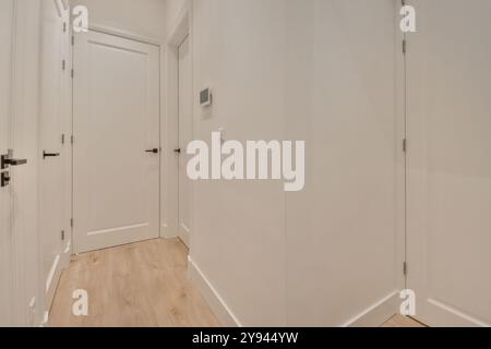 A contemporary home interior featuring two closed minimalist white doors in a clean and bright corridor with wooden flooring. Stock Photo