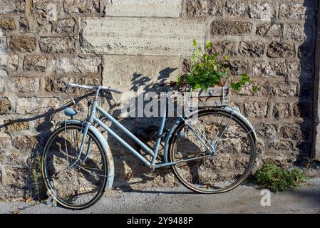 An old rusty pastel blue bike with a flat tyre, without a saddle standing against a brick wall. copy space Stock Photo