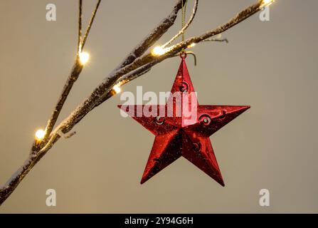 Red decorative Christmas star hanging from lit tree branch Stock Photo