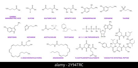 Neurotransmitter chemical formulas. Dopamine, serotonin, taurine and adrenaline molecules. Vector chemical skeletal structures of gamma-aminobutyric acid, glycine, glutamic acid, aspartic acid Stock Vector