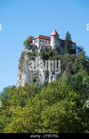View of Bled castle in the Julian Alps (Slovenia). It is medieval and on top of a rock. Stock Photo
