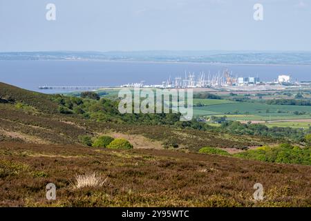 A cluster of tower cranes marks the Hinkley Point C nuclear power station construction site on the coast of West Somerset, as seen from the Quantock H Stock Photo