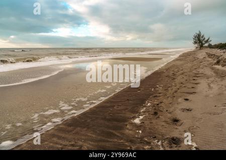 View of а beach on the Gulf coast of Florida near Venice Stock Photo