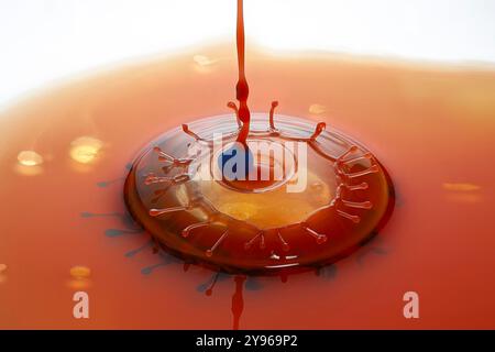 Water drop impact. High-speed photograph of secondary drop formation following the impact of a water droplet on water. The impact causes the surface of the pool to collapse, creating a rush of water inwards and upwards to form a column. Surface tension effects along the column cause a secondary drop to form. Shock waves radiate outwards as concentric circular ripples. Stock Photo