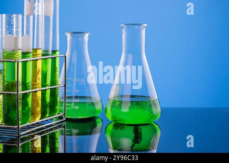 Algae fuel biofuel industry lab researching for alternative to fossil algae fuel or algal biofuel. Stock Photo