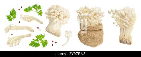 Enoki mushroom, Golden needle mushroom isolated in white background . Top view. Flat lay Stock Photo