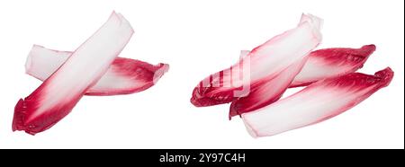 red chicory or radicchio leaves isolated on white background Stock Photo