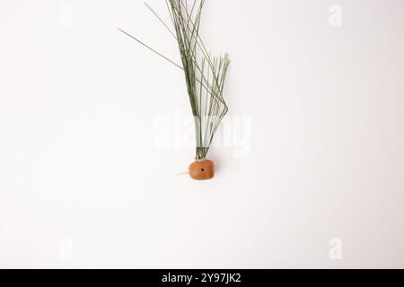 step in creative process, DIY, autumn craft, handmade bird crafted from pine cones and twigs, the head appears to be an acorn and clusters of pine nee Stock Photo