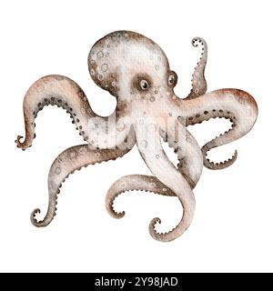 Watercolor Octopus on isolated background. Hand drawn illustration of wild undersea animal with tentacles. Marine or ocean underwater life. Stock Photo