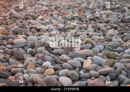 This image showcases a close-up view of smooth, round pebbles scattered across a beach. The variety of colors—ranging from light beige to soft greys a Stock Photo