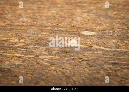 The wood grain is rough and uneven, with many small holes and marks. The texture of the wood is very natural and organic, giving the image a rustic an Stock Photo