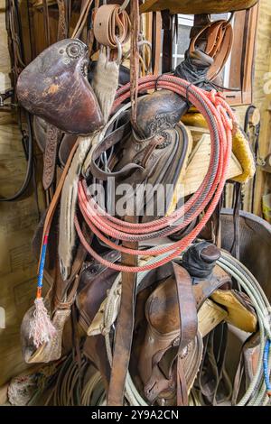 Yoakum, Texas, United States. Old saddles and lariats, or lassos, hanging on a wall. Stock Photo