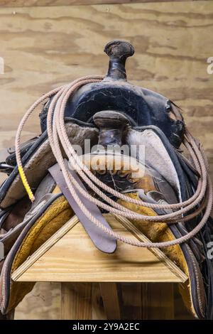 Yoakum, Texas, United States. Old saddles and lariats, or lassos, on a rack. Stock Photo