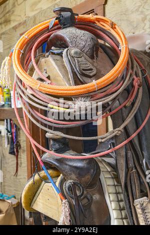 Yoakum, Texas, United States. Old saddles and lariats, or lassos, on a rack. Stock Photo