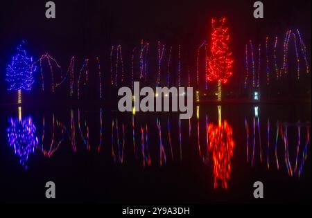 Christmas lights ascending tree trunks are reflected in the calm waters of a pond in a northeast Ohio city park. Stock Photo