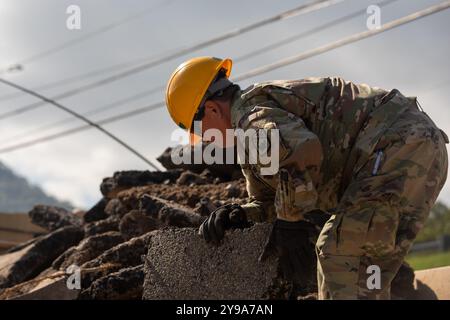 Tennessee Army National Guard Sgt. Marsha Williams of the 230th Engineer Battalion, handles debris as part of Joint Task Force Castle at Valley Forge in Hampton, Tennessee, on October 7, 2024. Joint Task Force Castle is comprised of engineers from Tennessee Army National Guard's 230th Engineer Battalion, based in Trenton, and Tennessee Air National Guard Airmen from Knoxville’s 134th Civil Engineer Squadron, Nashville’s 118th Civil Engineering Squadron, and Memphis’ 164th Airlift Wing. (U.S. Army National Guard photo by Pfc. Landon Evans) Stock Photo