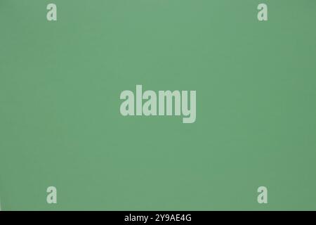 This paper background in a uniform green color is perfect for various uses. Its fresh and natural hue makes it an excellent choice for photo backdrops Stock Photo