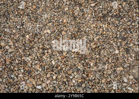 a pattern of small pebbles lying on a beach to use as a background texture, Denmark, September 24, 2024 Stock Photo