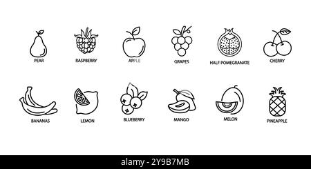 Vector Fruit and Berry icon set. Fruit icon set vector illustration logo template for many purpose. Isolated on white background Stock Vector