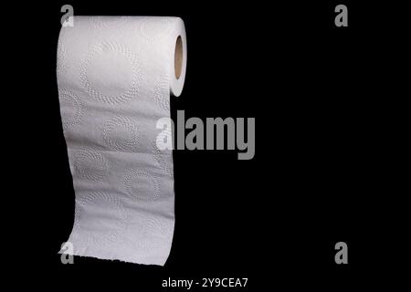 A close-up photo of a white toilet paper roll with a circular design on the paper. The roll is partially unrolled, revealing the design. Stock Photo