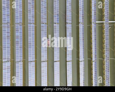 SUQIAN, CHINA - OCTOBER 10, 2024 - A worker checks photovoltaic equipment at a fishery-solar hybrid base in Suqian, East China's Jiangsu province, Oct Stock Photo