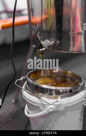 Machinery and equipment for beekeeping. Drip fresh honey into a bucket. High quality photo Stock Photo