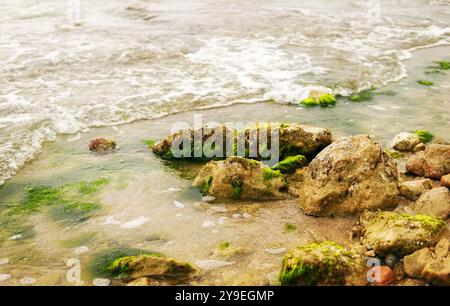 Rocks and stones covered with green fungi moss and lichen next to sea waves Stock Photo