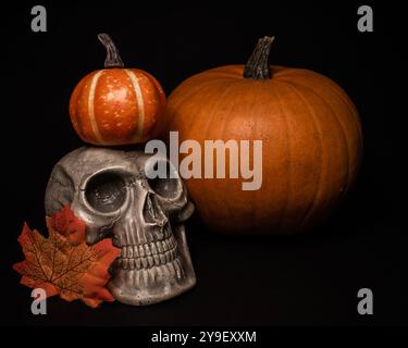 Human skull with two pumpkins on black background, halloween wallpaper, memento mori, day of the dead, macabre, santa muerte, samhein, macabre, occult Stock Photo