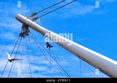 Man suspended high. Cleaning the suspension  arms of  Kutaisi Bridge crossing the river Usk. Newport city centre. Uk Stock Photo