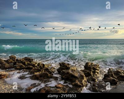 Jagged rocks line the foreground, partially embraced by the frothy turquoise waves of the ocean. Flocks of pelicans fly through this peaceful seascape Stock Photo