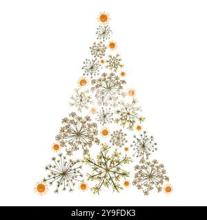Festive Christmas arrangement. Dried pressed flowers in the shape of a Christmas tree isolated on a white. Stock Photo
