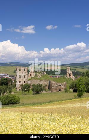 Ruins of Plavec castle near Stara Lubovna, Presov region, Slovakia Stock Photo