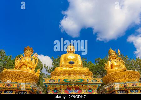 Statues of gods in Nepal. Nepali religious sacred place in a temple in Kathmandu. Giant golden statue of Buddha near Swayambhunath sacred Buddhist Stock Photo