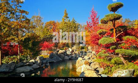 Colorful autumn in a Japanese garden. Beautiful nature colourful tree leaves in Japanese zen garden in autumn season Stock Photo