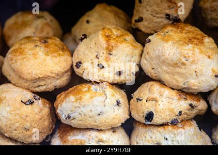 Fruit scones in the display window of St Ives Bakery, St Ives, Cornwall, UK Stock Photo