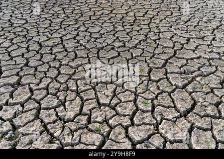 Dry ground, cracked, dried-up riverbed, in a branch of the Rhine, near Duisburg, Stock Photo